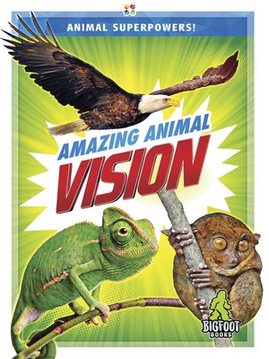cover image of Amazing Animal Vision